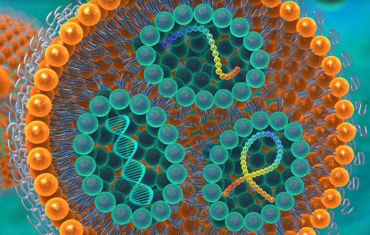 Ziel des Projektes ist es, eine neue Generation von Lipid-Nanopartikeln zu...