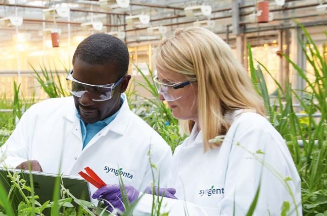 Foto: Syngenta