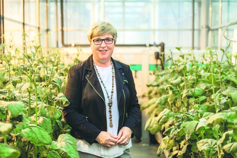 Heike Köhler ist seit dem 1. Januar 2020 Geschäftsführerin von Syngenta...