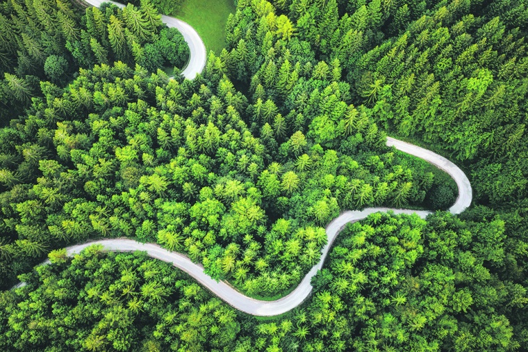 Die Decarb-Roadmap ist ein individuell erstellter Fahrplan, die Treiber,...