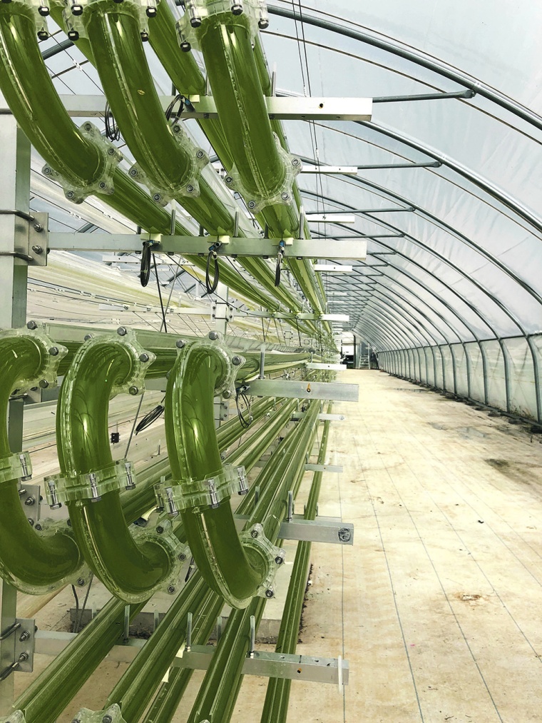 Als geschlossenes System benötigt ein Algoliner-Fotobioreaktor nur Bruchteile...