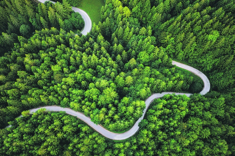 Eine Decarb-Roadmap ist ein individuell erstellter Fahrplan, der Treiber,...