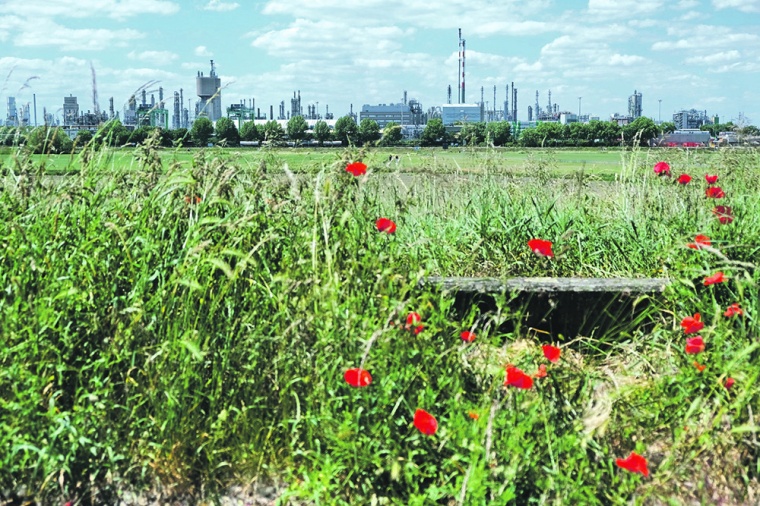 Blick Richtung Friesenheimer Insel: Hier befindet sich eines der BASF Areale,...