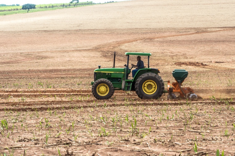 (c) Alf Ribeiro/Shutterstock