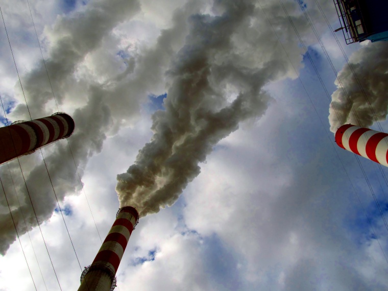 (c) DyziO/Shutterstock