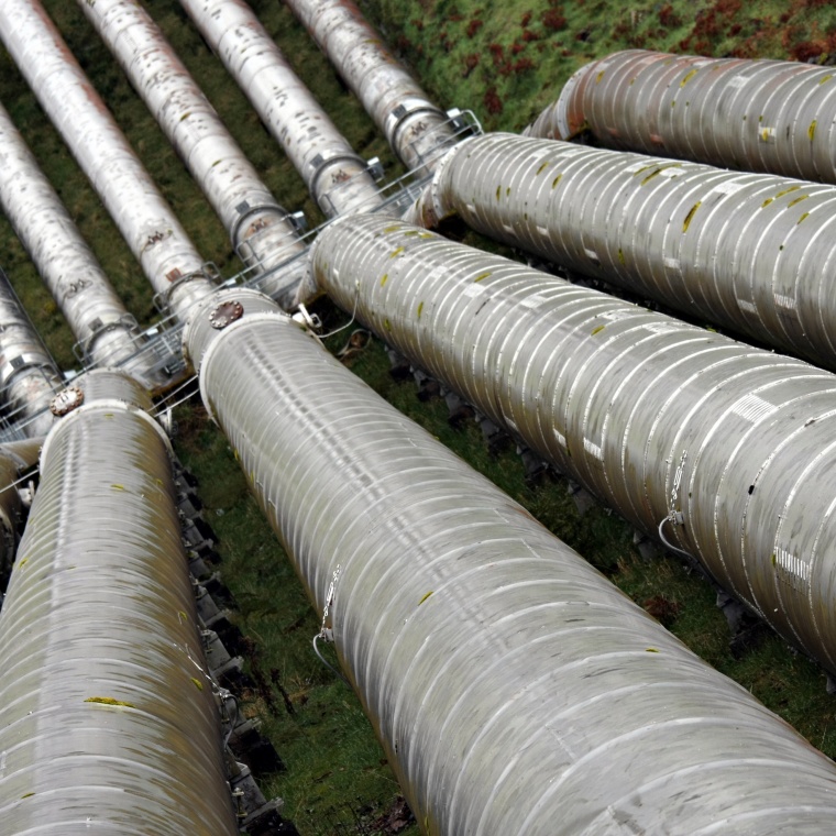 (c) Neale Cousland/Shutterstock