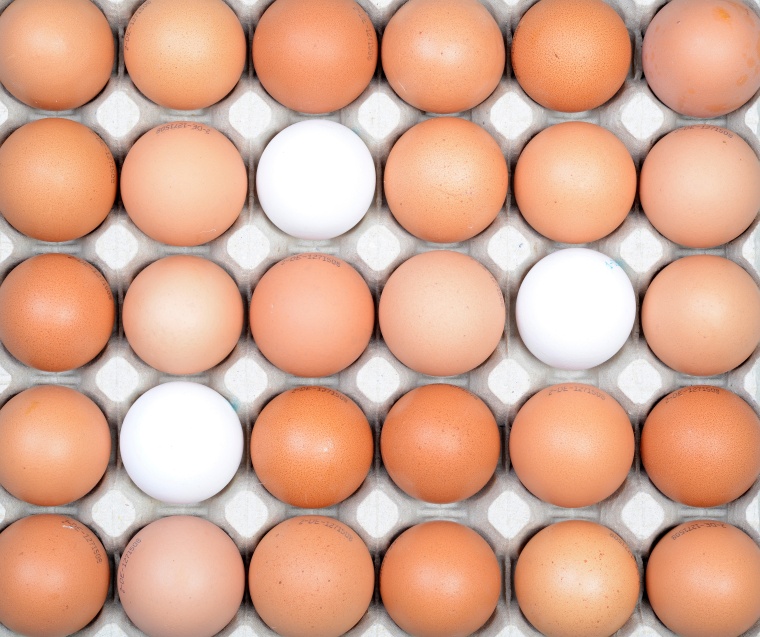 (c) imageBROKER/Alamy Stock Photo