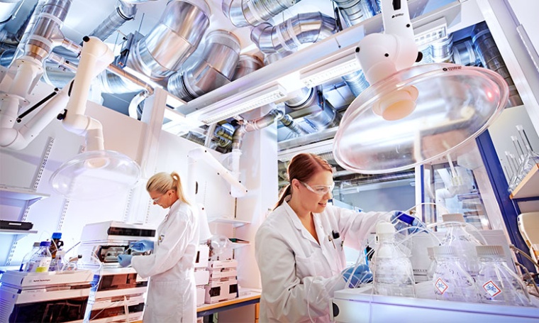 Private Equity Eyes Bayer’s Animal Health (c) Bayer