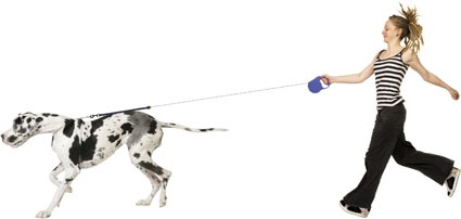 Logistics providers are well-placed to help and should position themselves...