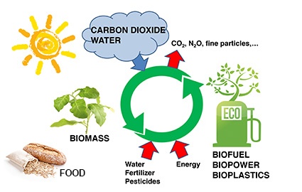 Fig. 1: Prospects and limitations of green economy