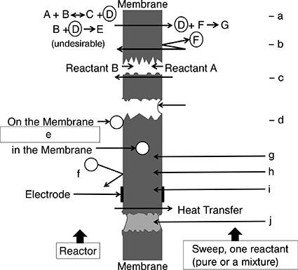 Figure 1. Schematic of possible functions of a membrane in a reactor [adopted...