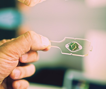 Can the Internet of Things Lift This Emerging Industry to the Next Level?