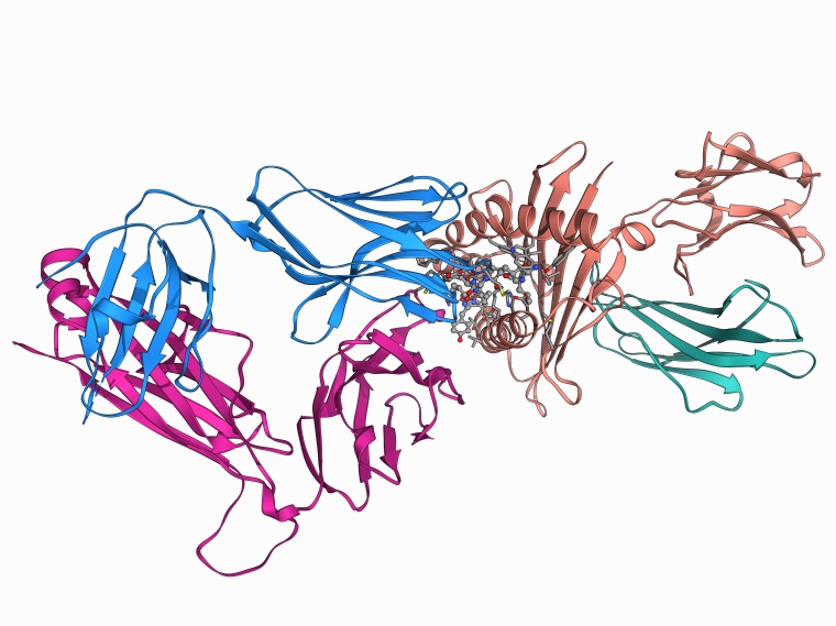 (c) Science Photo Library RF/Getty Images