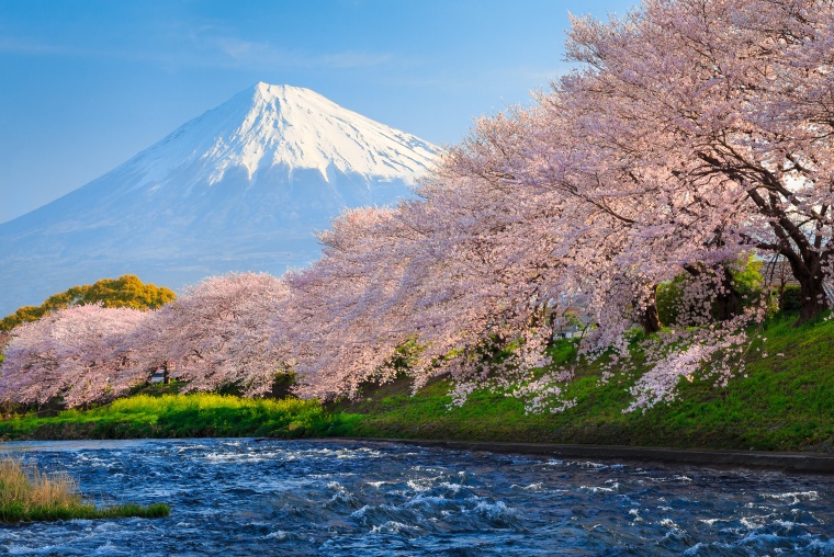 Japan’s pharmaceutical landscape changes. © jiratto/Shutterstock