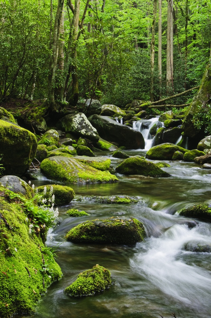 © Tetra images RF/Getty Images