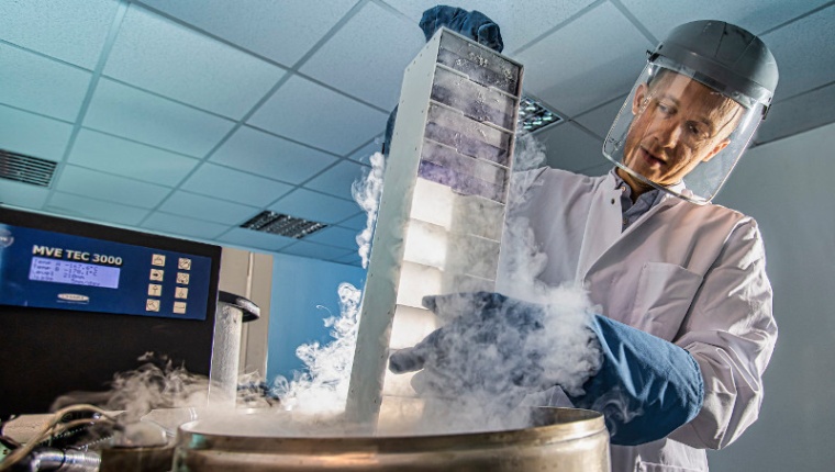 Catalent is acquiring RheinCell Therapeutics, a German developer and...