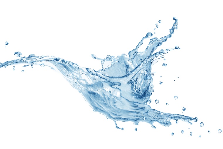 © Shutterstock/CK Foto