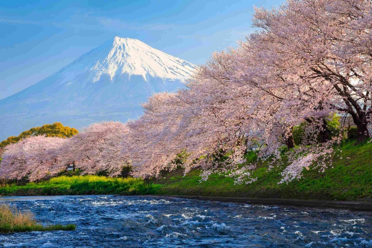 © jiratto/Shutterstock