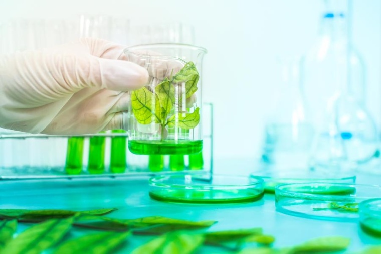 © DW2630/Shutterstock