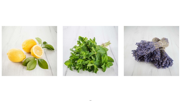 BASF invests in its aroma ingredients business with new citral, menthol and...