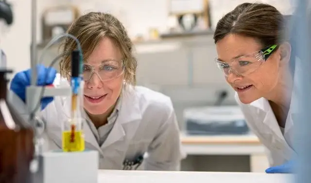 Researchers in the lab