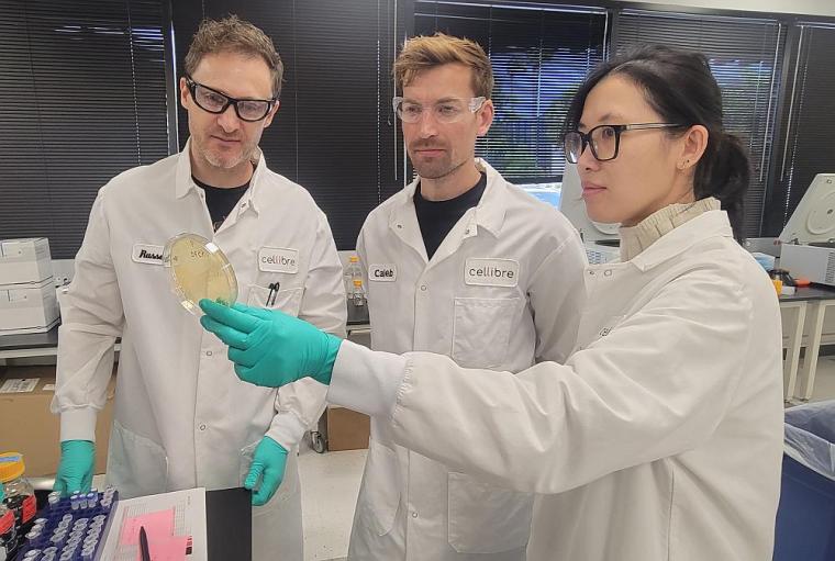 (v.l.n.r.): Russell Komor, Caleb Walker, Diep Nguyen - alle Cellibre