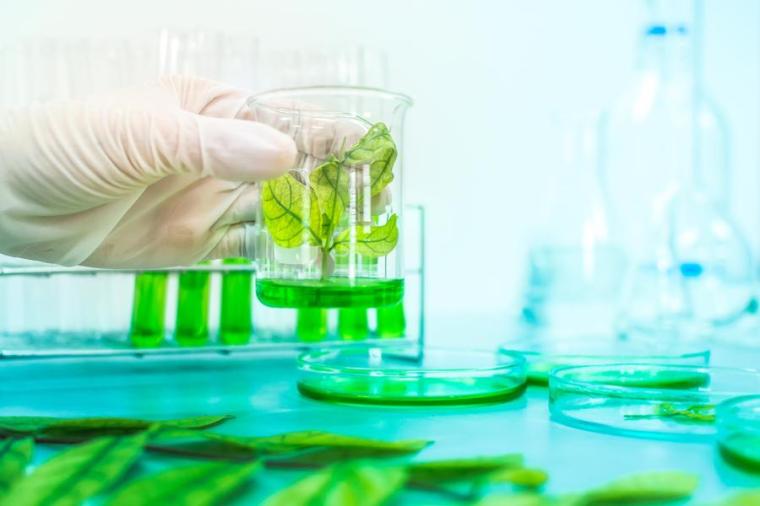 BASF und IFF starten strategische Partnerschaft für Enzym- und...