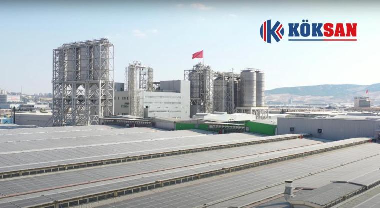 Graphical visualization of the new plant