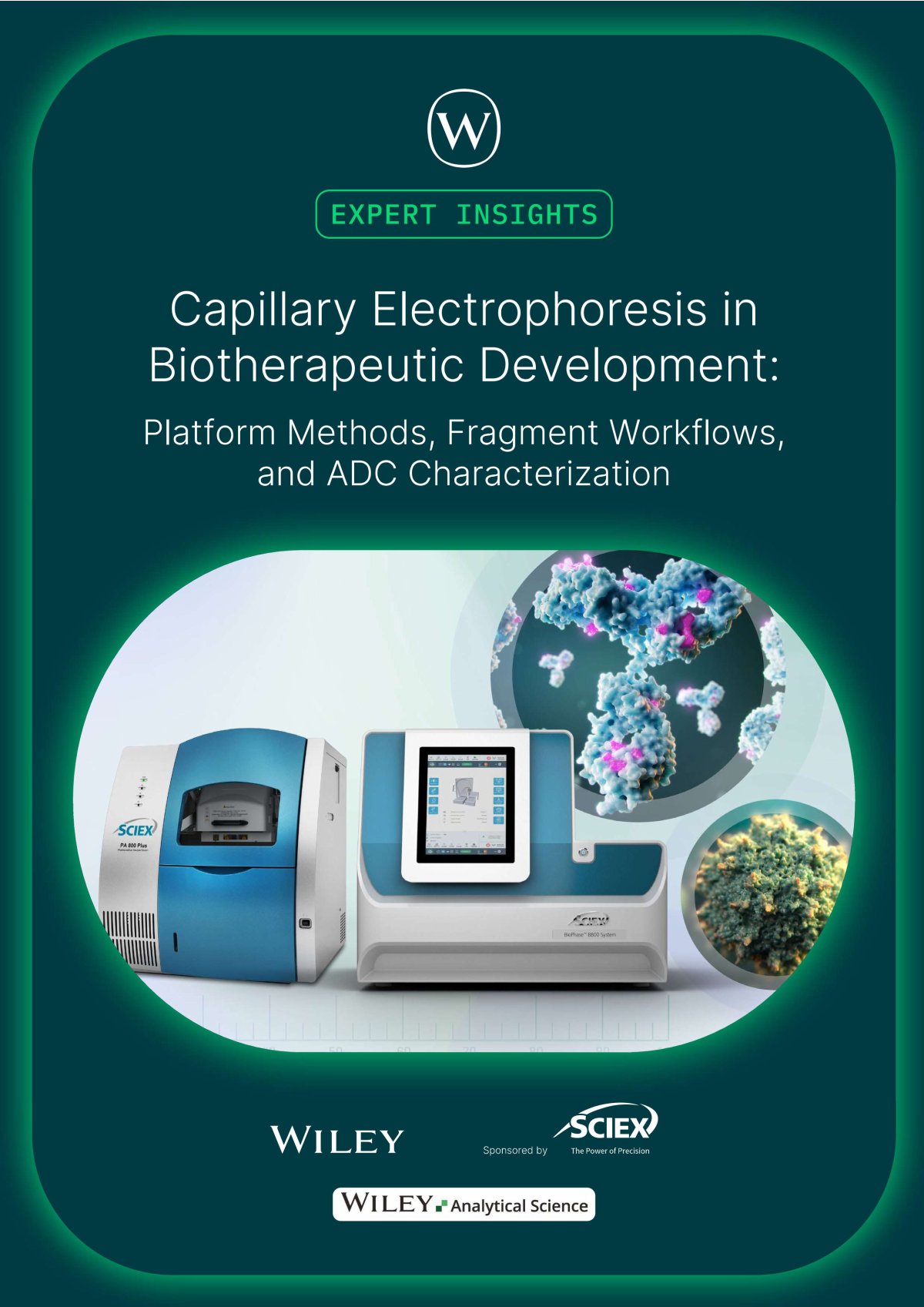 Capillary Electrophoresis in Biotherapeutic Development: Platform ...