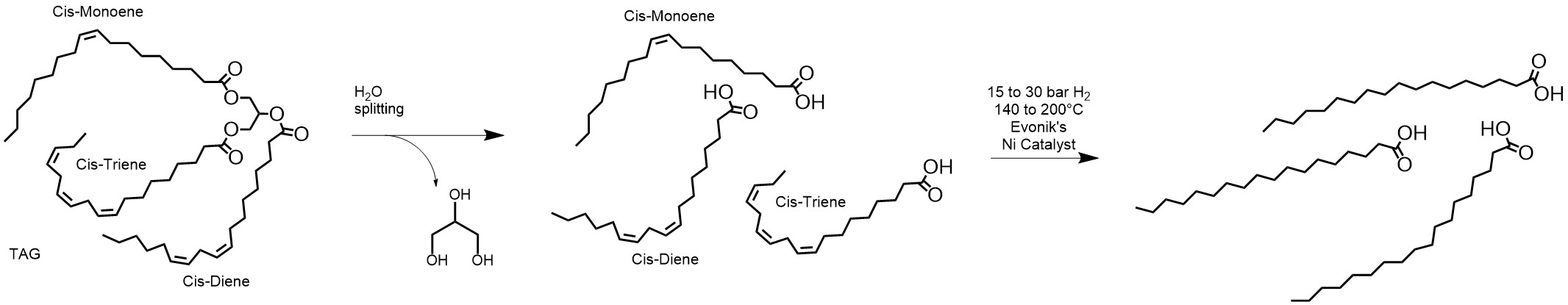 Figure 1. The production of fully hydrogenated free fatty acids via splitting followed by hydrogenation.